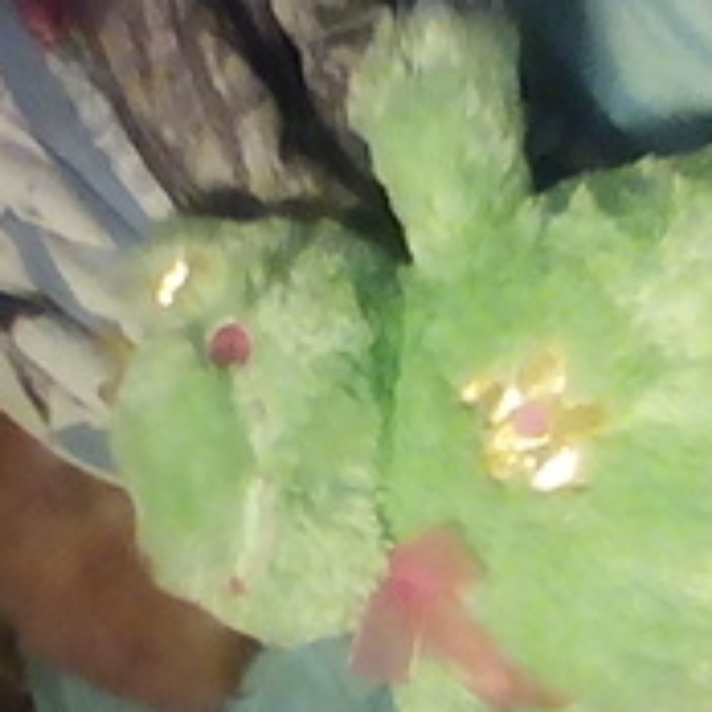 Stuff animal